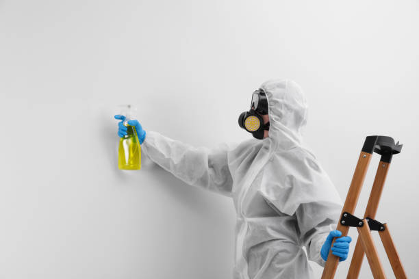 Why You Should Choose Our Mold Remediation Services in Hauula, HI